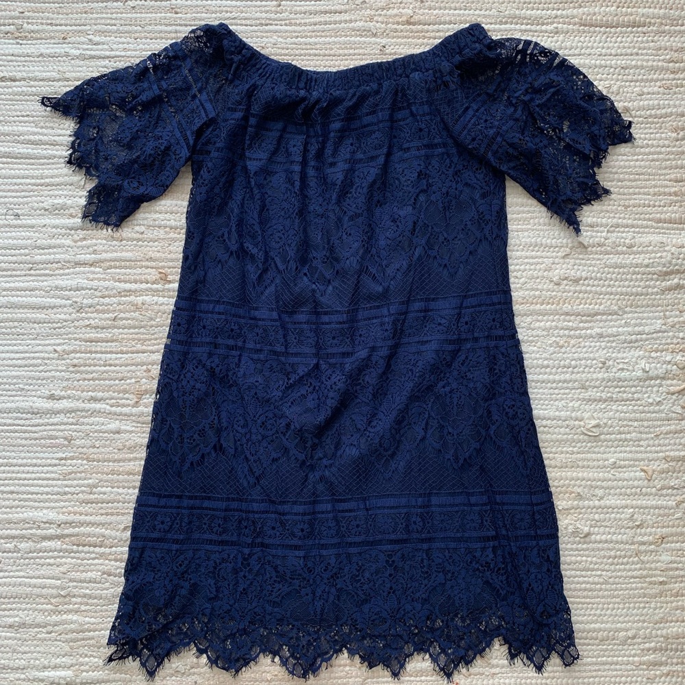 Francesca's Collections Navy Lace Mini Dress